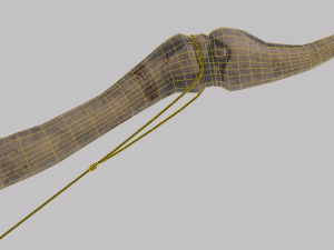 Dragon Bone Bow from Skyrim Model 3D