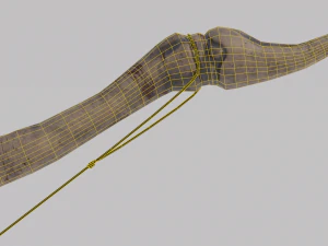 Dragon Bone Bow from Skyrim 3D Model