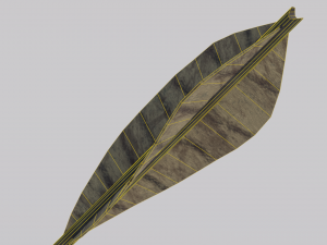 Dragon Bone Bow from Skyrim Model 3D
