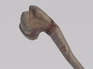 Dragon Bone Two Handed Mace from Skyrim 3D Model