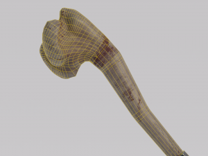 Dragon Bone Two Handed Mace from Skyrim 3D Model