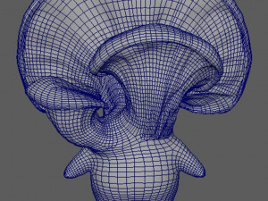 Game-ready low-poly mushling 3D-Modell