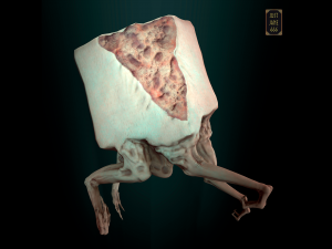 Cubegg monster free lowpoly 3D 模型