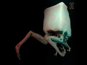 Cubegg monster free lowpoly 3D Model