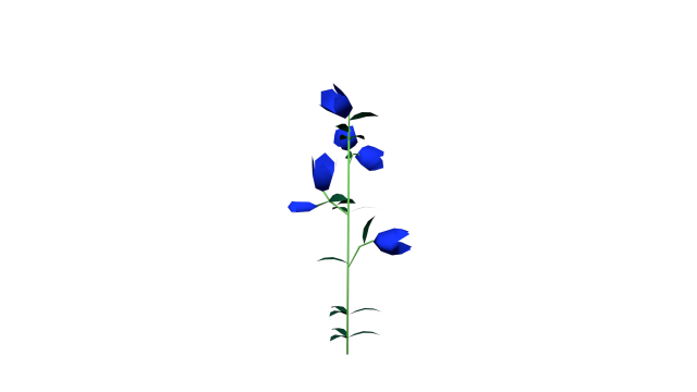 flowers low poly 3D Model .c4d .max .obj .3ds .fbx .stl .blend 