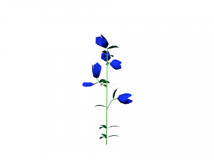 flowers low poly 3D Model