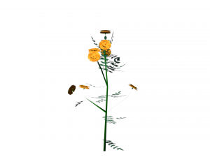 flowers low poly 3D Model