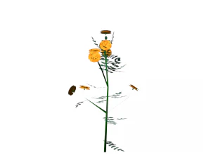flowers low poly 3D Model