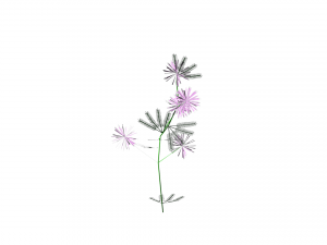 flowers low poly 3D Model