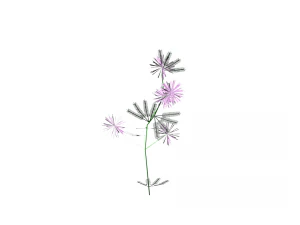 flowers low poly 3D Model