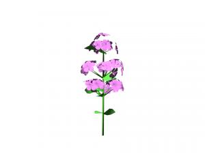 flowers low poly 3D Model