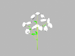 flowers low poly 3D Model
