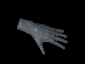malehandc4d 3D 모델