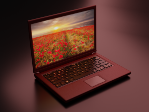 Laptop 3 colors 3D Model