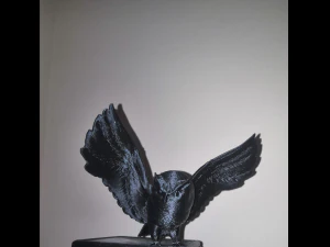 baykuş b&ouml;l&uuml;m2 3D Model