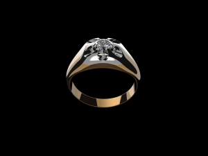 man ring 3D Model