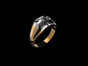 man ring 3D Model