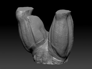 armored titan -- attack on titan Model Cetak 3D