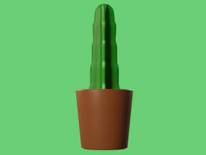 Cactus plant 3D Model