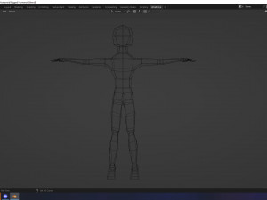 Thin Humanoid rigged 3D Модель