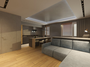Living room in the style of Minimalism apartment 3D 模型