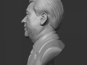 xi jinping 3D-Druckmodell