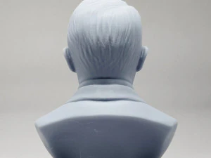 adolf hitler 3d print model 3D Print Model