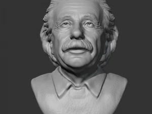 einstein 3d print model 3D Print Model