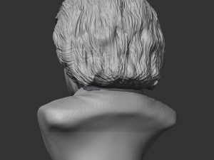 einstein 3d print model 3D 打印模型