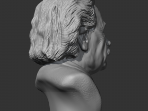 einstein 3d print model 3D 打印模型