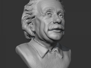 einstein 3d print model 3D 打印模型
