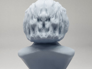 einstein 3d print model 3D 打印模型