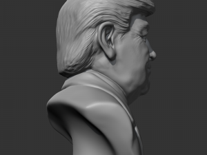 donald trump 3d print model Modelo de Impressão 3D