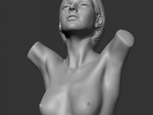 hd girl bust e 3d print model 3D Print Model