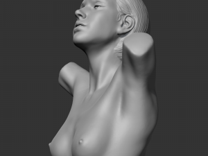 hd girl bust e 3d print model 3Dプリントモデル