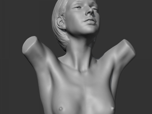hd girl bust e 3d print model 3Dプリントモデル