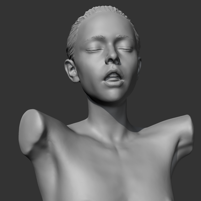 hd girl bust h 3d print model 3D Print Model .c4d .max .obj .3ds .fbx .stl .blend 