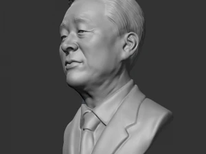 Kim young-sam 3d print model 3D Print Model