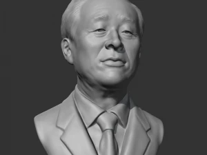 Kim young-sam 3d print model 3D Print Model
