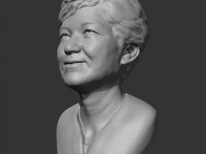park geun-hye 3d print model 3D Print Model