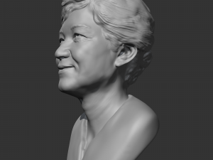 park geun-hye 3d print model Model Cetak 3D