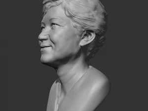 park geun-hye 3d print model 3D Print Model