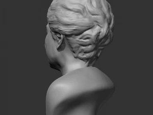 park geun-hye 3d print model 3D Print Model