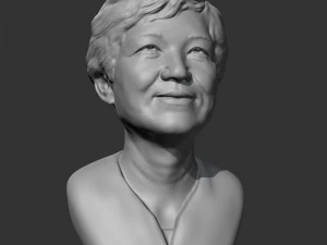 park geun-hye 3d print model 3D Print Model