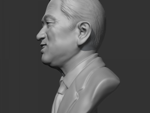 roh tae-woo 3d print model 3D Print Model