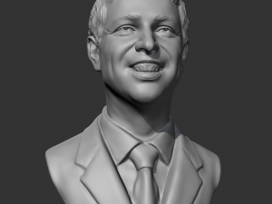 larry page 3d print model 3D 프린트 모델