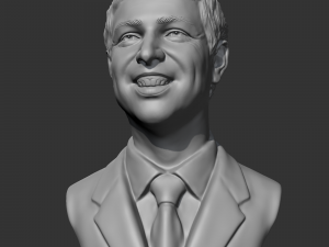 larry page 3d print model 3D Print Model