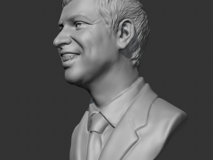 larry page 3d print model 3D Print Model