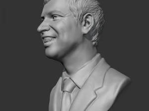 larry page 3d print model 3D Print Model