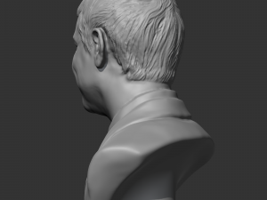 larry page 3d print model 3D Print Model